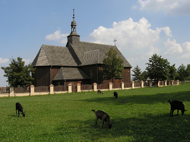 35.jpg