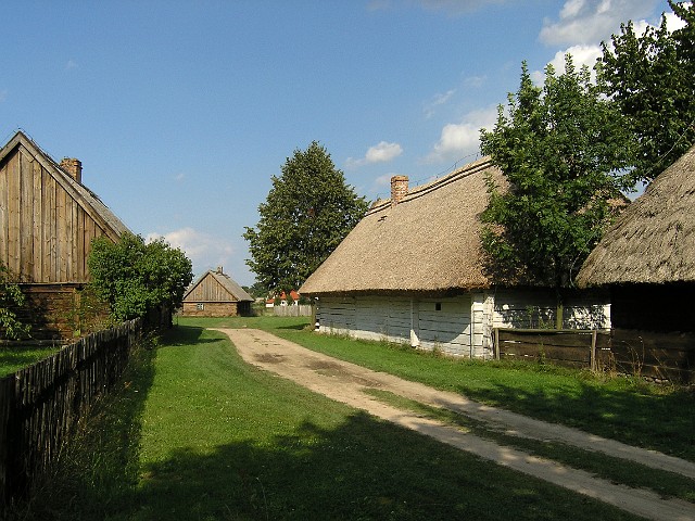 38.jpg