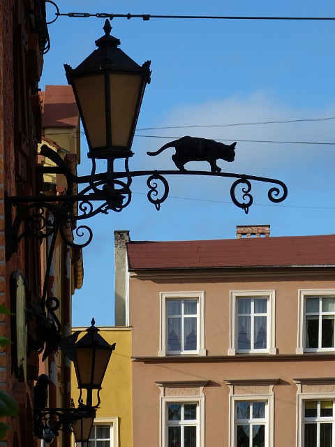 04.jpg