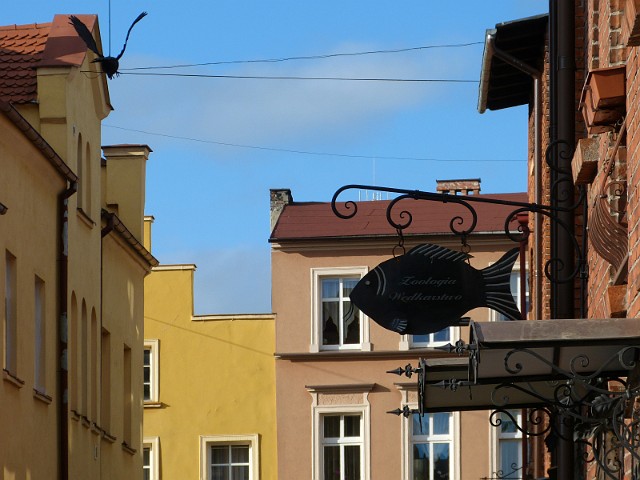 05.jpg