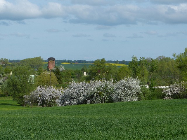 48.jpg