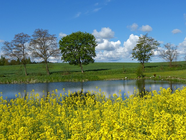 58.jpg