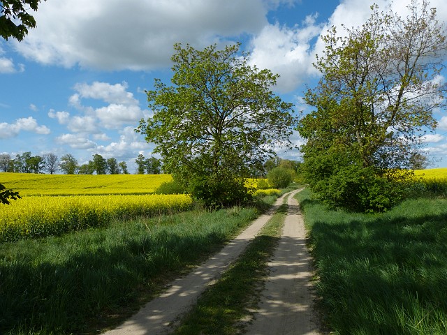 63.jpg