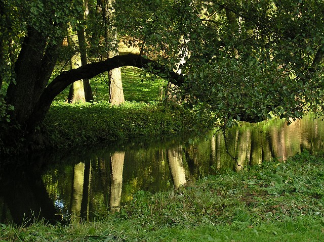 08.jpg