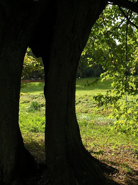 09.jpg