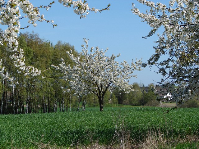 04.JPG