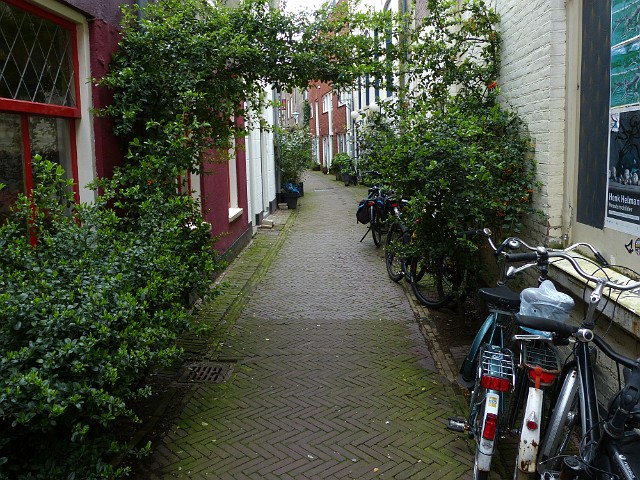 108.jpg