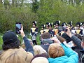 065 Parada w Keukenhof