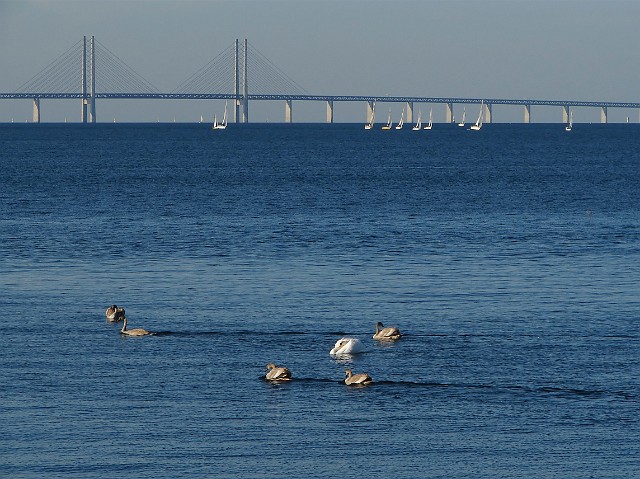 04.jpg - 04 Most Oresund pomiędzy Malmo - Szwecją a Kopenhagą - Danią