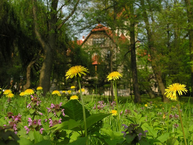 05.jpg