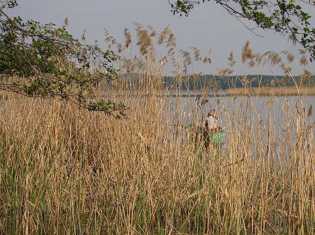 13.jpg - 13 Jezioro Łoniewskie