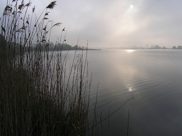 22.jpg - 22 Bladym świtem nad jeziorem Łoniewskim