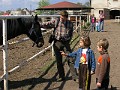 44 Stadnina koni w Jeziorkach