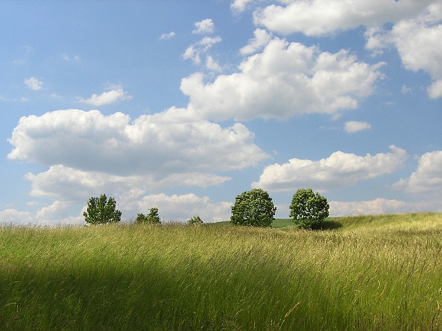 03.jpg