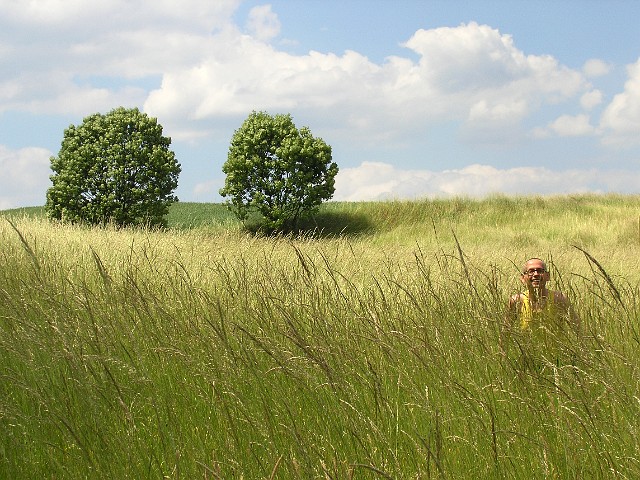 04.jpg
