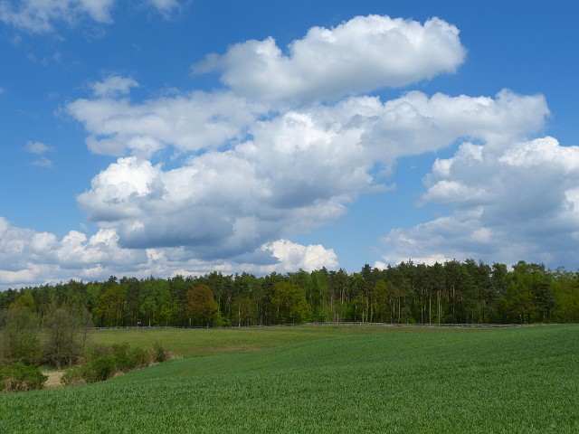 05.jpg