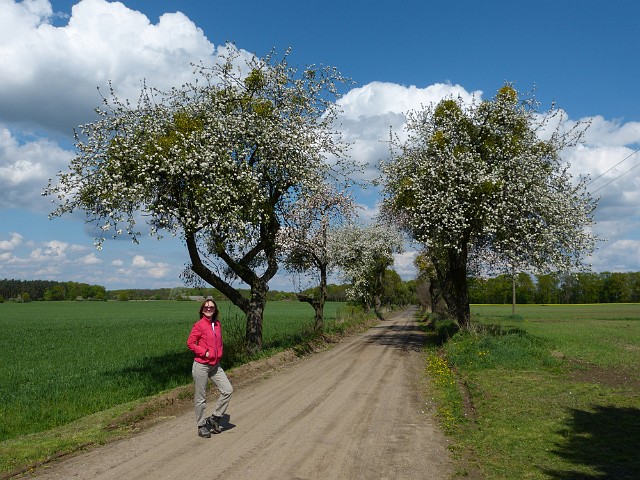 06.jpg - 06. Na trasie Alei Jabłonowych