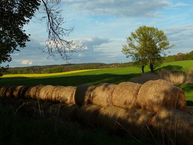 65.jpg