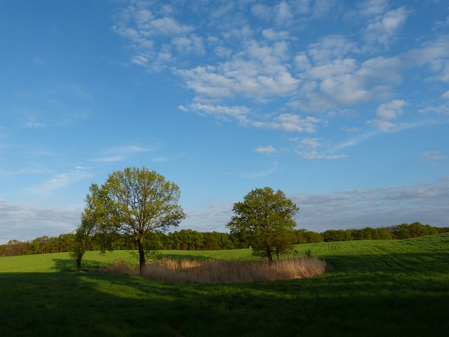 67.jpg