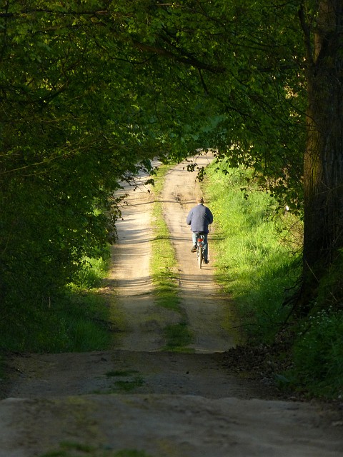 68.jpg