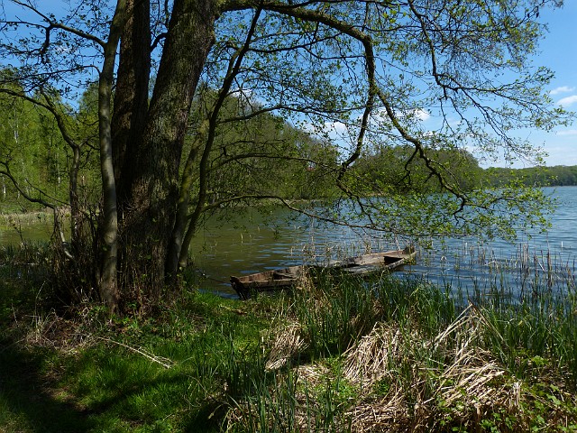 76.jpg