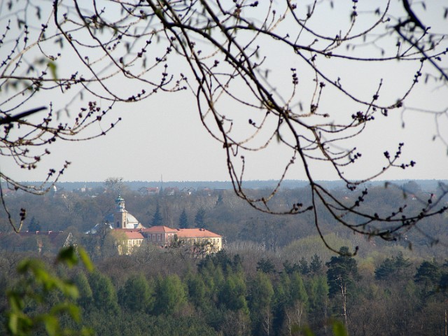 10.jpg - 10 Kościół pod wezwaniem św. Jana Chrzciciela w Owińskach