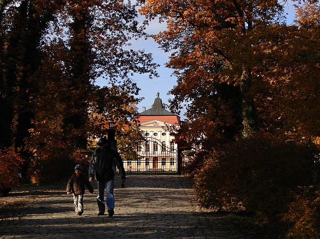 08 Pałac w Rogalinie.jpg