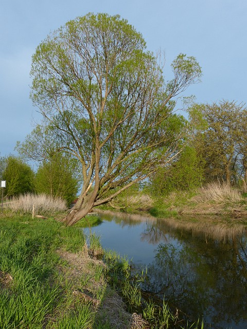04.JPG
