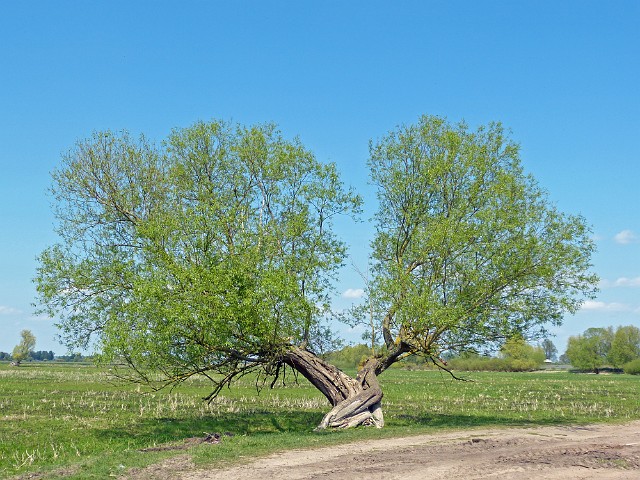 44.jpg