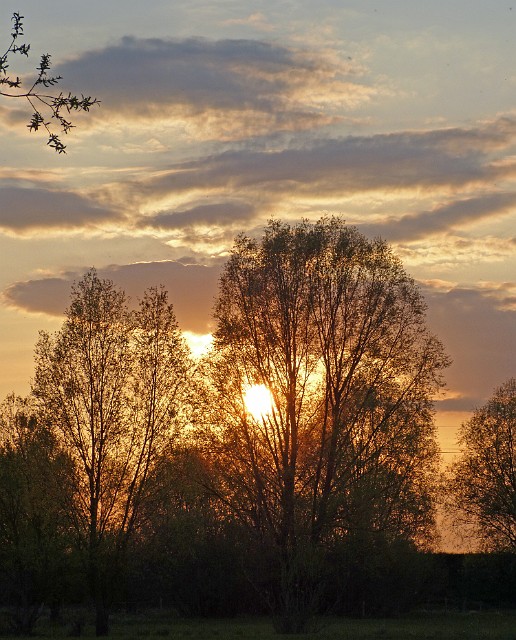 57.jpg