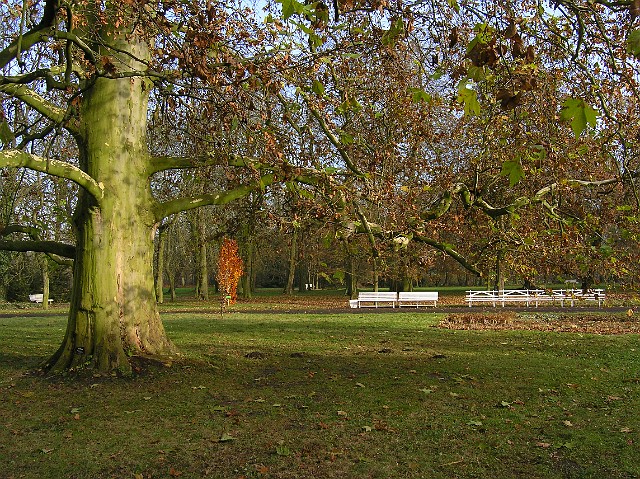 05.jpg