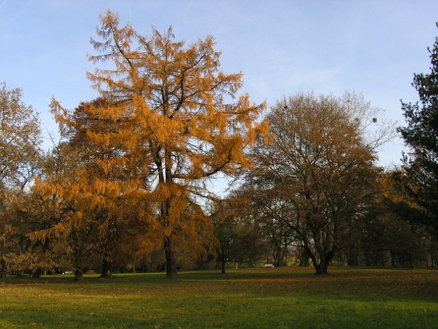06.jpg