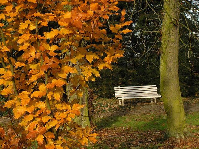 07.jpg