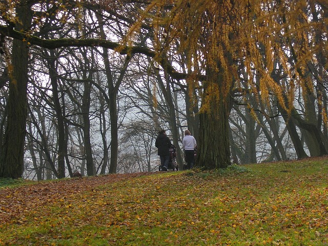 09.jpg