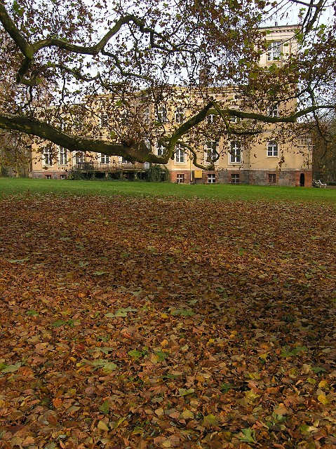 11.jpg - 11 Pałac w Uzarzewie - obecnie Muzeum Myślistwa