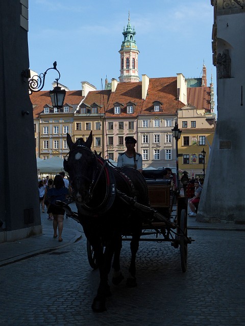 103 .jpg