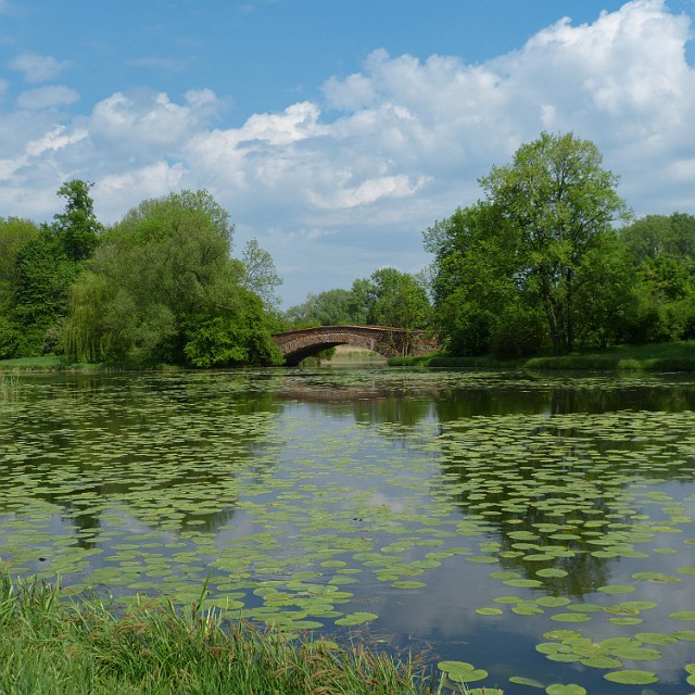 155 .jpg