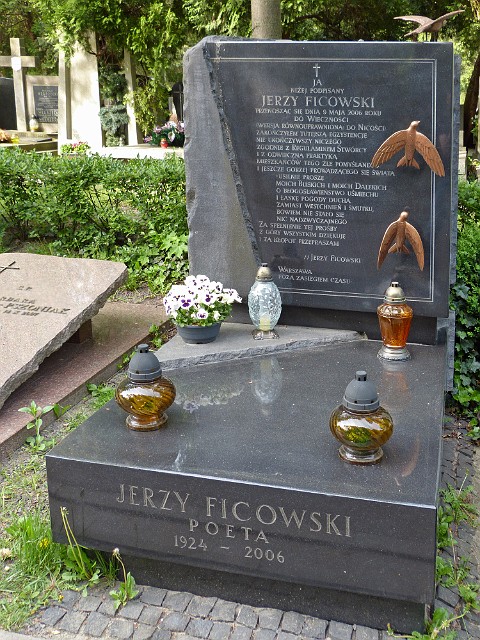 171 .jpg