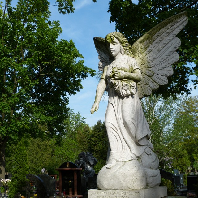186 .jpg
