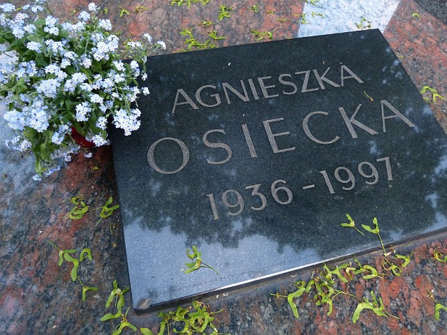 188 .JPG