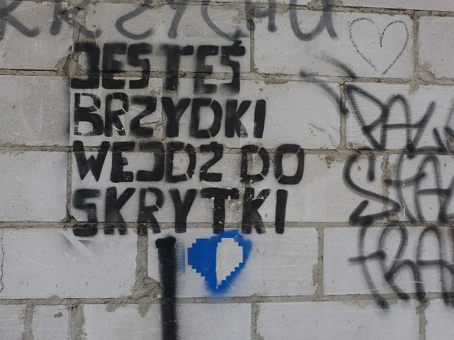 233 .JPG